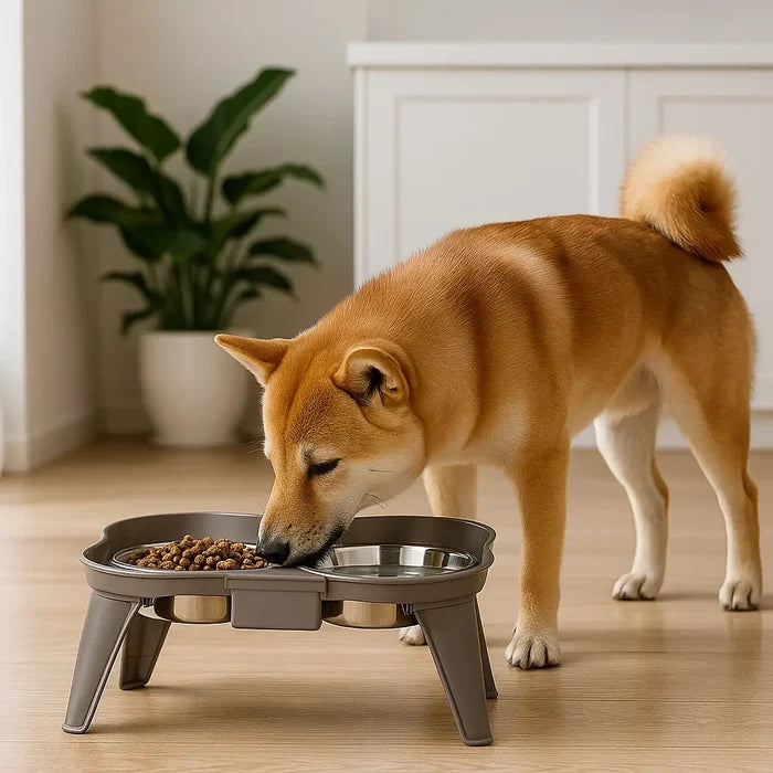 Elevated Stainless Steel Dog Bowls – Double Dog Bowl with Non Slip Stand