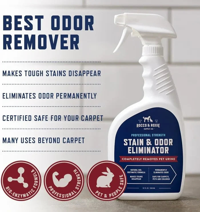 Enzyme Pet Stain & Odor Eliminator – Carpet Cleaner for Cat & Dog Urine