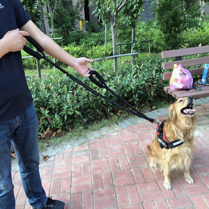 Explosion-Proof Elastic Retractable Pet Leash