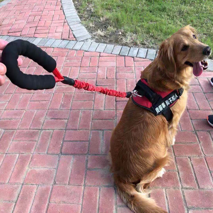Explosion-Proof Elastic Retractable Pet Leash