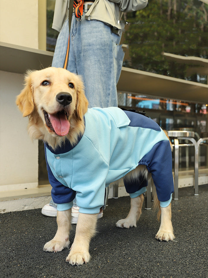 Fashionable Four-Legged Pet Sweater, Warm Clothing