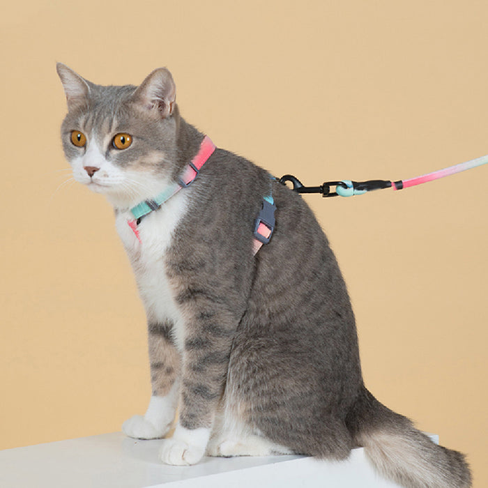 Fashionable Pet Leash to Prevent Escape