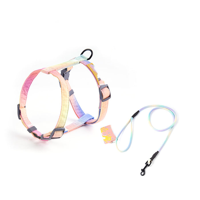 Fashionable Pet Leash to Prevent Escape