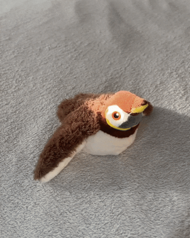 Flapping Bird Toy | Interactive Cat Toy – Catnip Chase Play