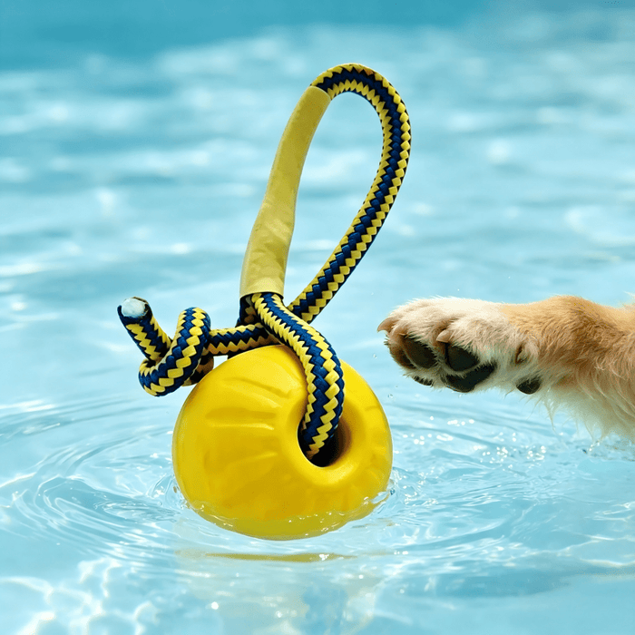 Floating Dog Tug Toy with Rope | Water Fetch Toy for Active Dogs