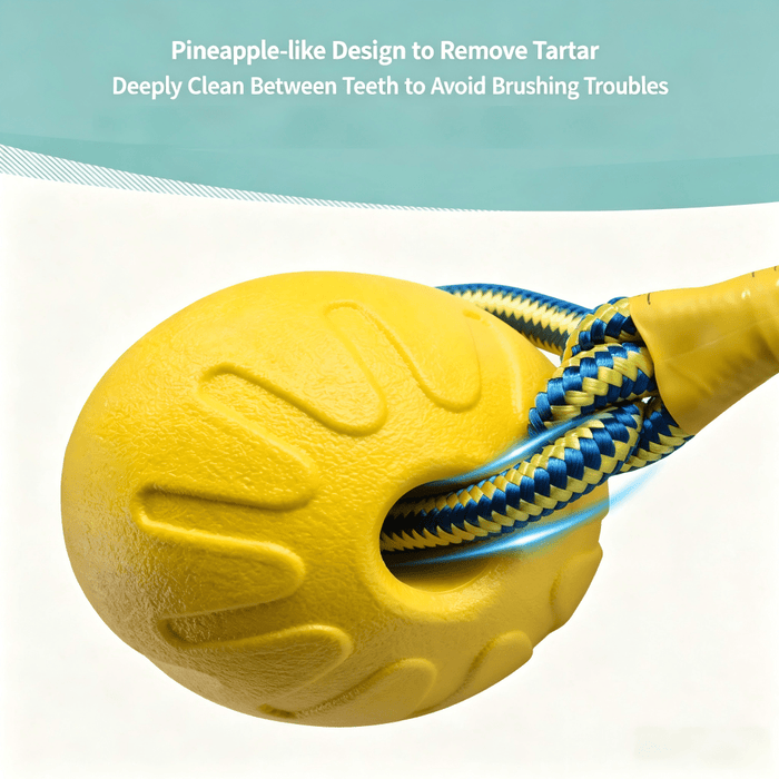 Floating Dog Tug Toy with Rope | Water Fetch Toy for Active Dogs