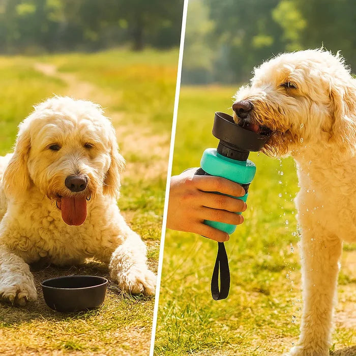 Foldable Dog Water Bottle with Bowl – Portable Travel Drinking Bottle for Dogs & Pets