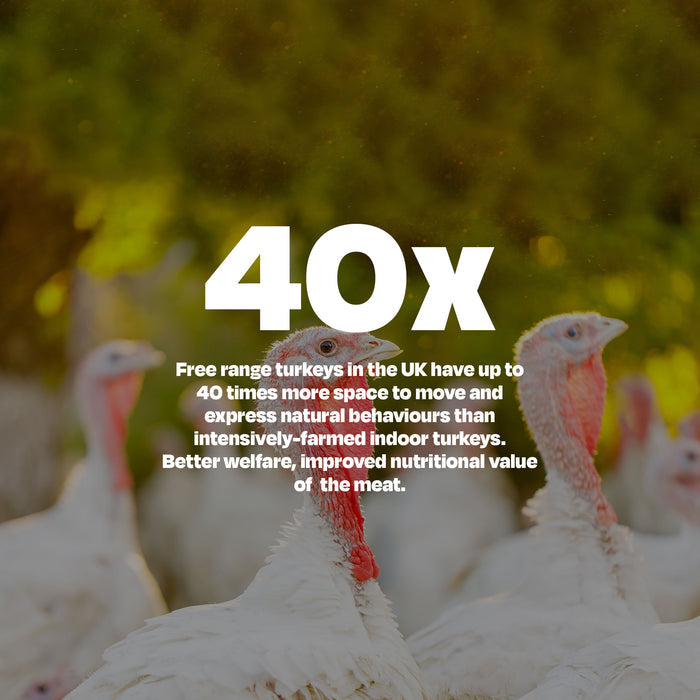 Free Range Turkey & Beef - Naturaw
