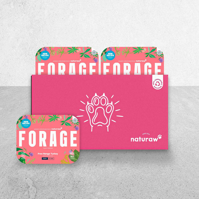 Forage Puppy Box: Free Range Turkey - Naturaw