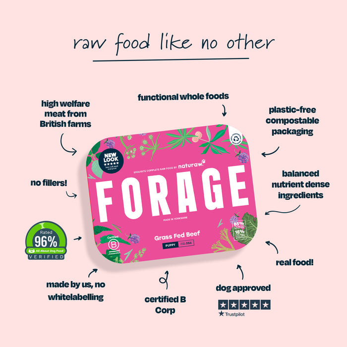Forage Puppy: Organic Chicken - Naturaw