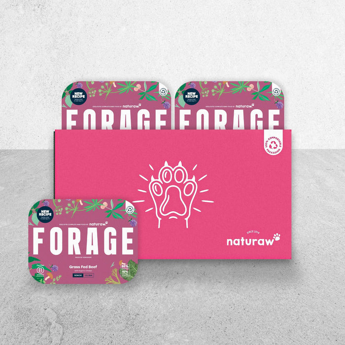 Forage Senior Box: Grass Fed Beef - Naturaw