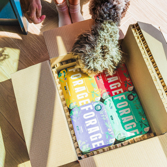 Forage Lucky Dip Bundle - Small - Naturaw