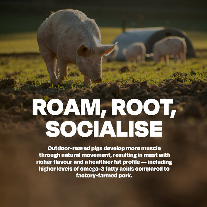 Free Range Pork with Lamb - Naturaw