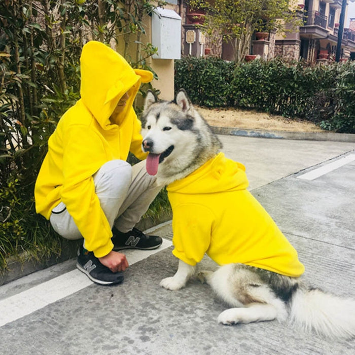 Four-Season Sweater for Pets