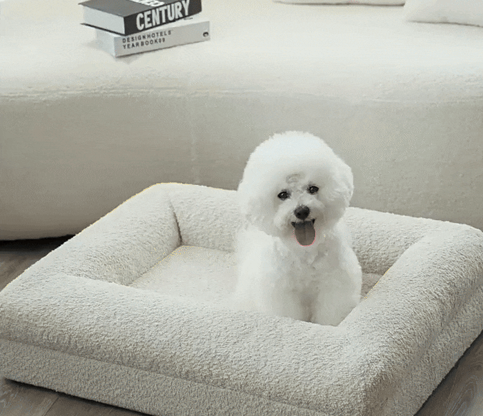 Four-Season Washable Dog Bed | Durable Orthopedic Support with Anti-Slip Base
