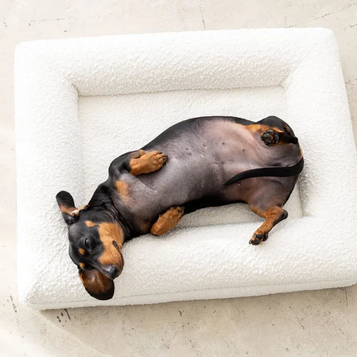 Four-Season Washable Dog Bed | Durable Orthopedic Support with Anti-Slip Base