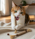 Fresh Cat Dental Sticks | Cat Chew Treat – Natural Dental Care & Play