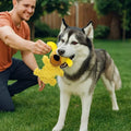 Funny Dog Chew Toy for Teeth Cleaning | Soft Plush Toy Blue & Yellow