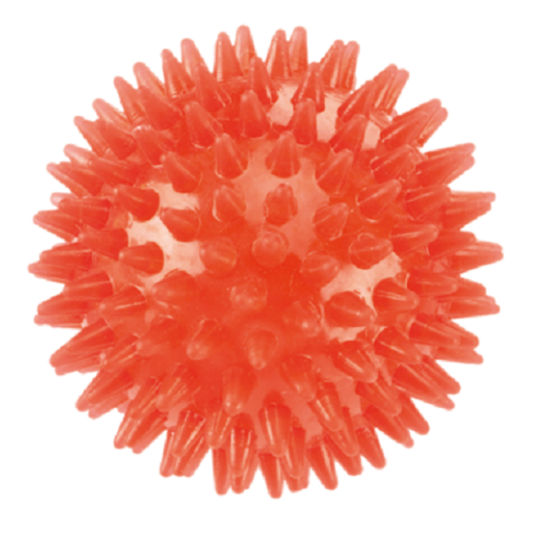 Gor Flex TPR Squeaky Ball | Durable Dog Toy