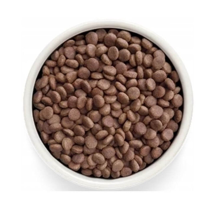 Top-down view of brown kibble pet food pellets inside a white round bowl on a white background.