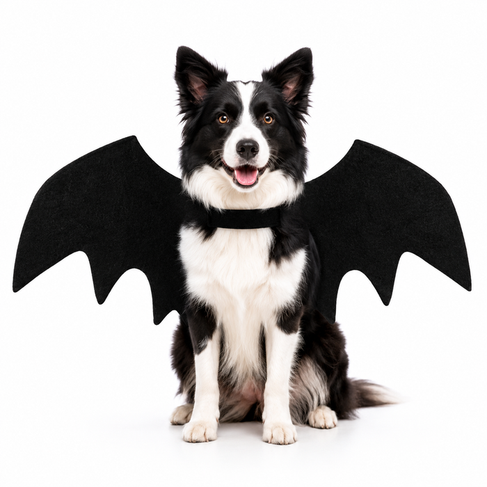 Halloween Bat Wings Costume for Dogs & Cats | Felt Pet Outfit