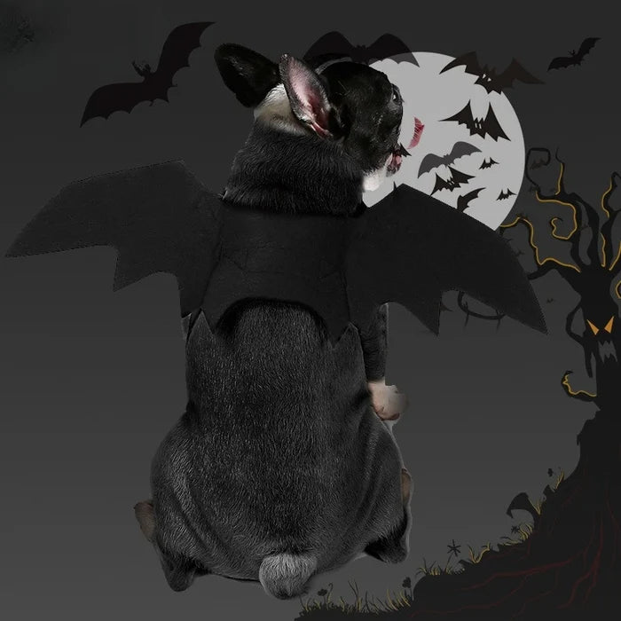 Halloween Bat Wings Costume for Dogs & Cats | Felt Pet Outfit