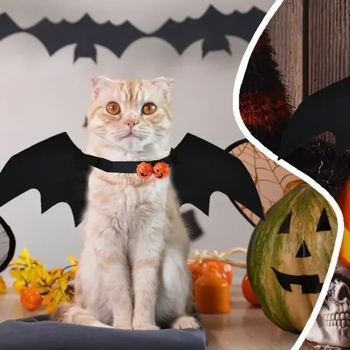 Halloween Bat Wings Costume for Dogs & Cats | Felt Pet Outfit