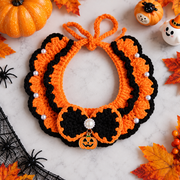 Fancy Pumpkin | Customer Favorite / S – 1.5–3.5 kg (3.3–7.7 lbs)