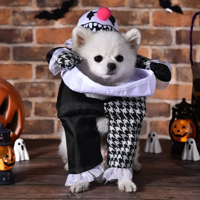 Halloween Clown Dog Costume | Funny Outfit for Small Dogs & Puppies