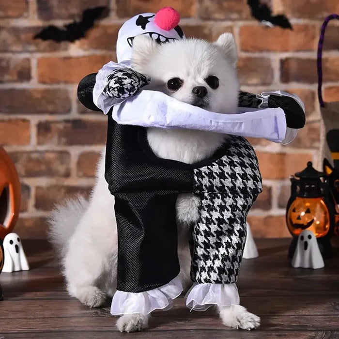 Halloween Clown Dog Costume | Funny Outfit for Small Dogs & Puppies
