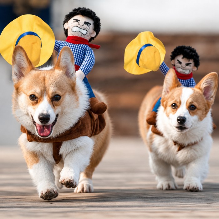 Halloween Cowboy Dog Costume | Funny Western Outfit for Small & Large Dogs