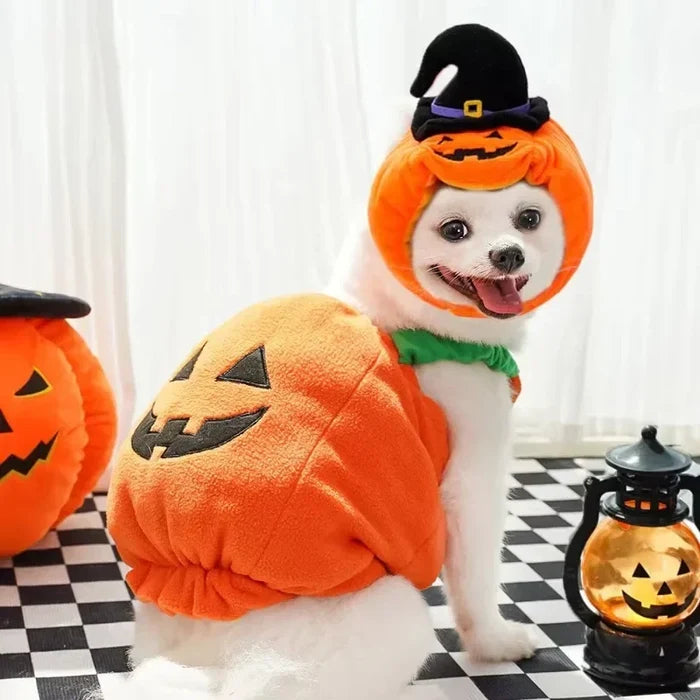 Halloween Pumpkin Dog Costume | Funny Jack-O'-Lantern Outfit for Pets