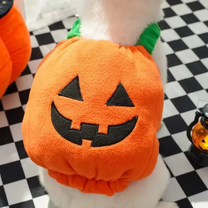 Halloween Pumpkin Dog Costume | Funny Jack-O'-Lantern Outfit for Pets