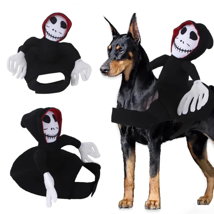 Halloween Riding Dog Costume | Funny Spooky Outfit for Dogs