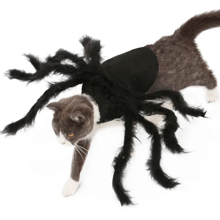 Halloween Spider Costume for Cats & Small Dogs | Spider Leg Pet Outfit