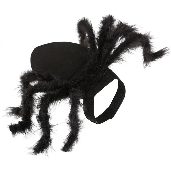 Halloween Spider Costume for Cats & Small Dogs | Spider Leg Pet Outfit