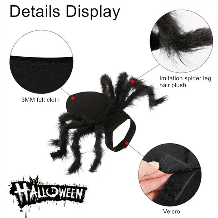 Halloween Spider Costume for Cats & Small Dogs | Spider Leg Pet Outfit