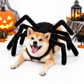 Halloween Spider Dog Costume | Funny Spider Outfit for Cats & Small Dogs