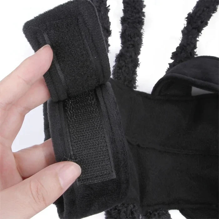 Halloween Spider Dog Costume | Funny Spider Outfit for Cats & Small Dogs