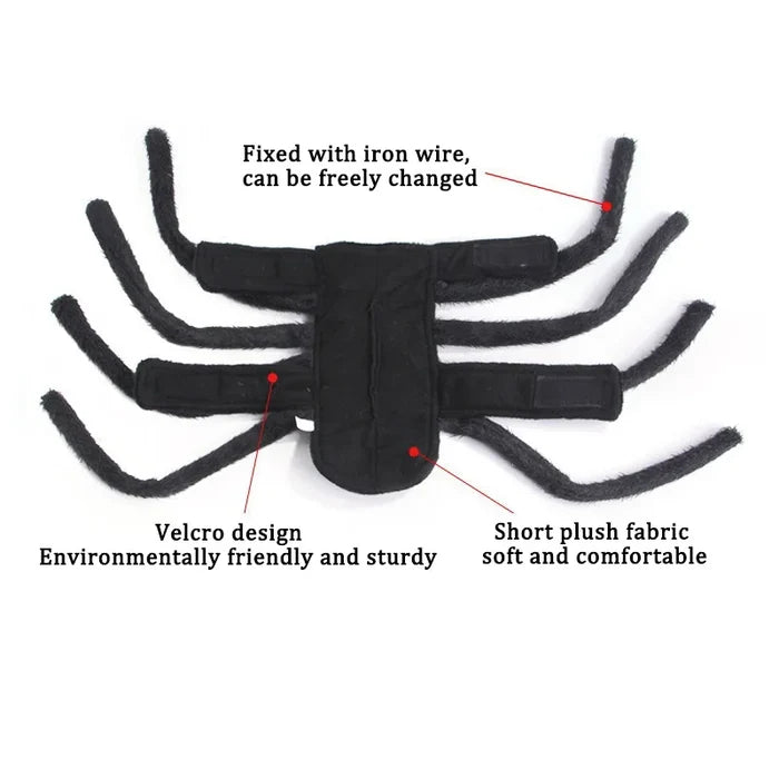 Halloween Spider Dog Costume | Funny Spider Outfit for Cats & Small Dogs