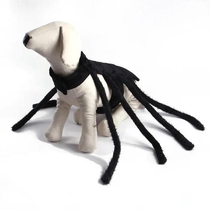 Halloween Spider Dog Costume | Funny Spider Outfit for Cats & Small Dogs