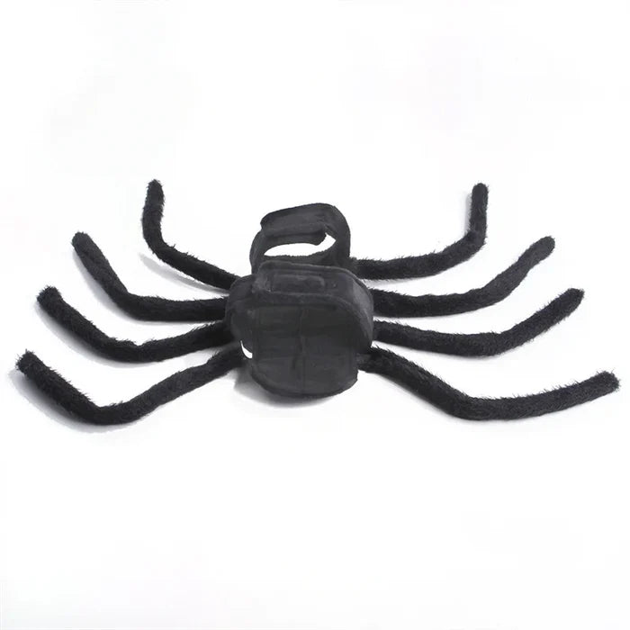 Halloween Spider Dog Costume | Funny Spider Outfit for Cats & Small Dogs