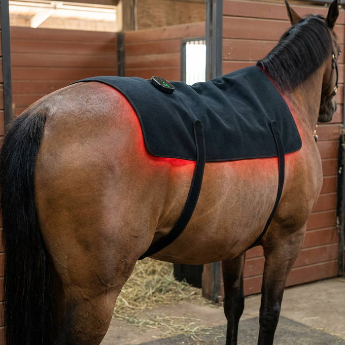 HaloBack | LED Red Light Therapy Back Wrap for Horses