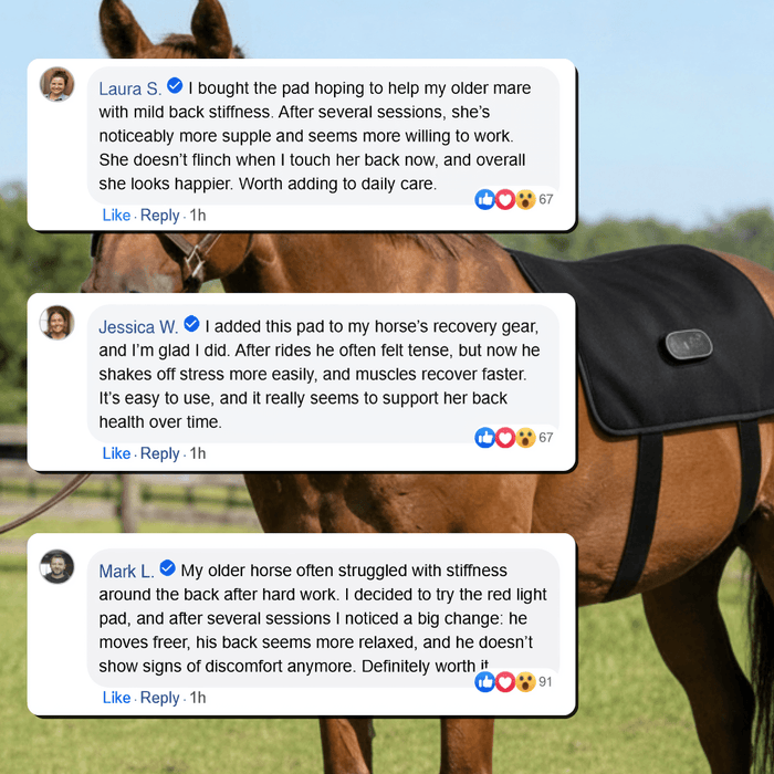 HaloBack | LED Red Light Therapy Back Wrap for Horses