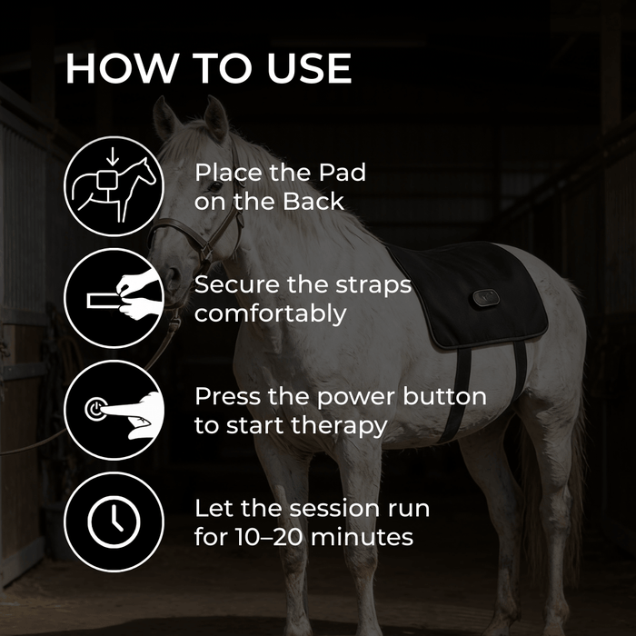 HaloBack | LED Red Light Therapy Back Wrap for Horses
