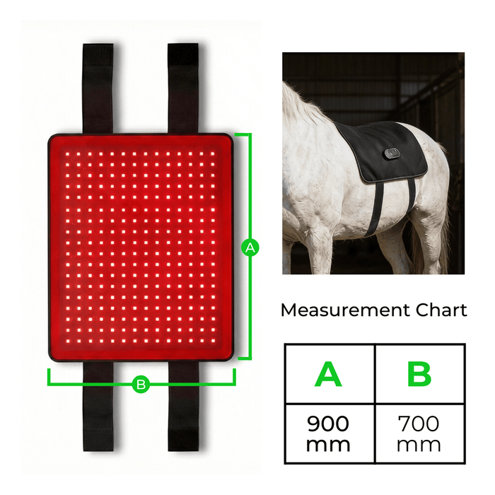 HaloBack | LED Red Light Therapy Back Wrap for Horses