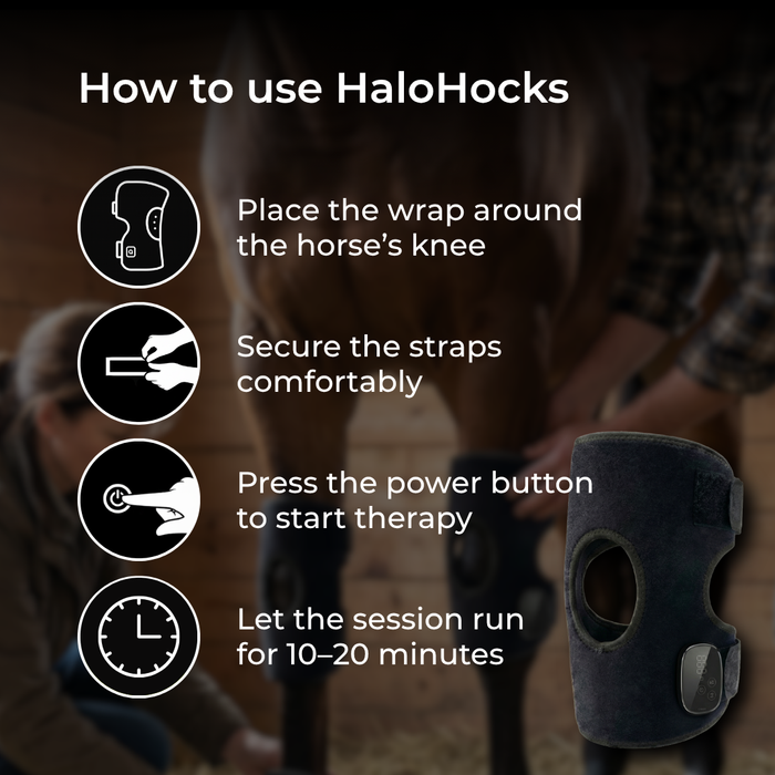 HaloHocks | LED Red Light Therapy Hock Support Wrap for Horses