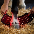 HaloLegs | Mini LED Red Light Therapy Leg Wrap for Horses