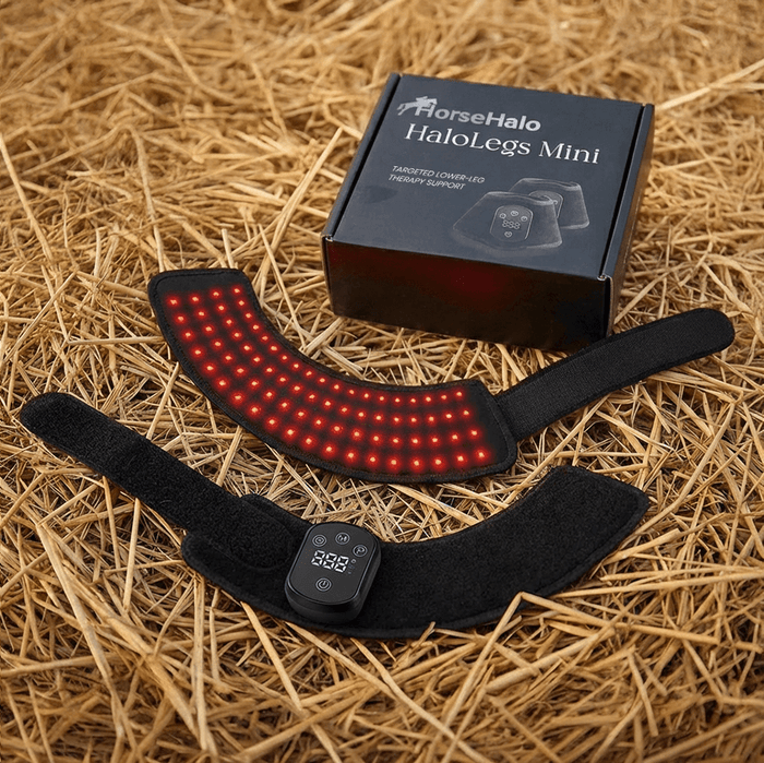 HaloLegs | Mini LED Red Light Therapy Leg Wrap for Horses