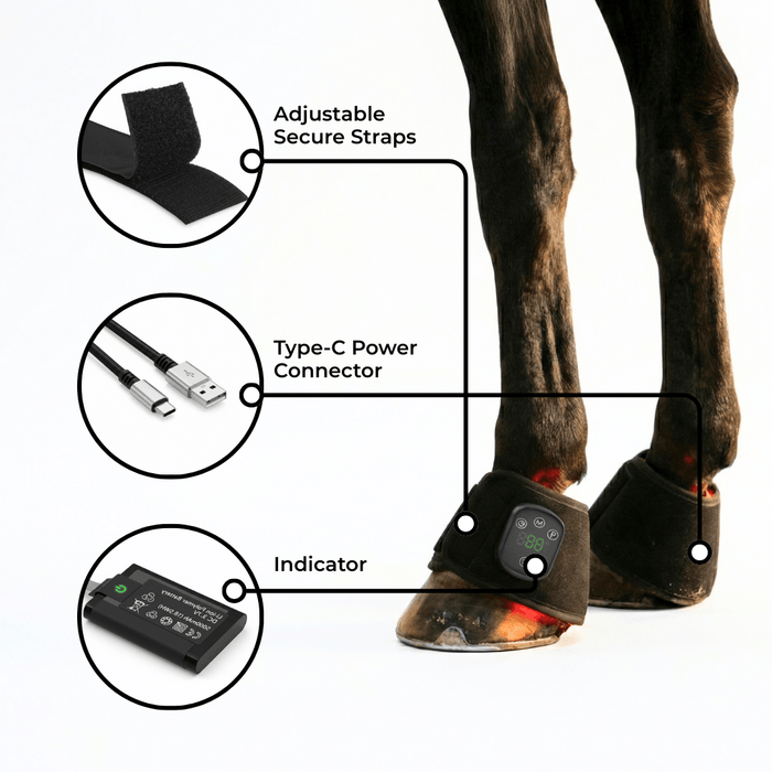 HaloLegs | Mini LED Red Light Therapy Leg Wrap for Horses